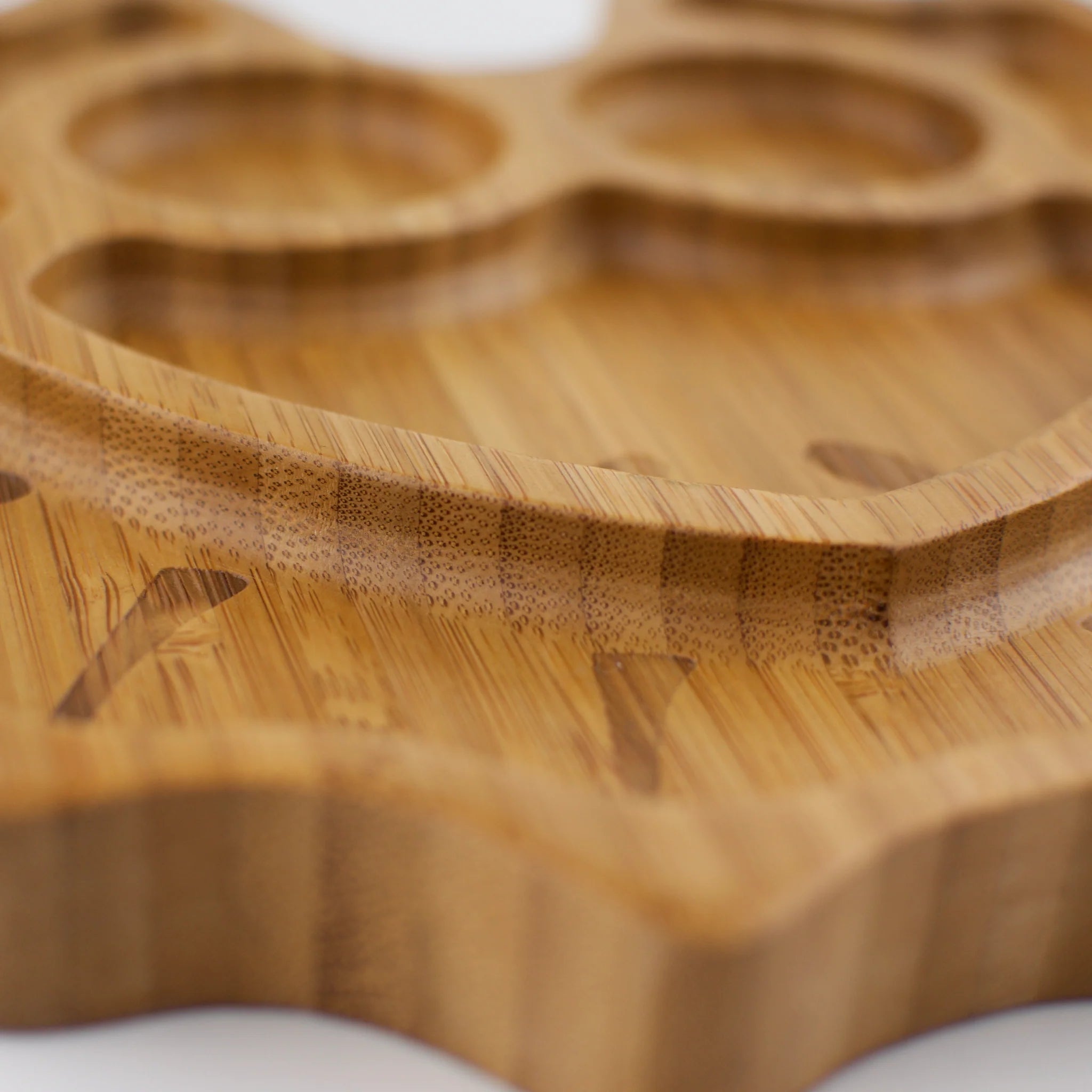 Lizzie the Frilled - Neck Lizard Kids Plate – Eco - Friendly Bamboo Dinnerware - Gourmet Wanderlust