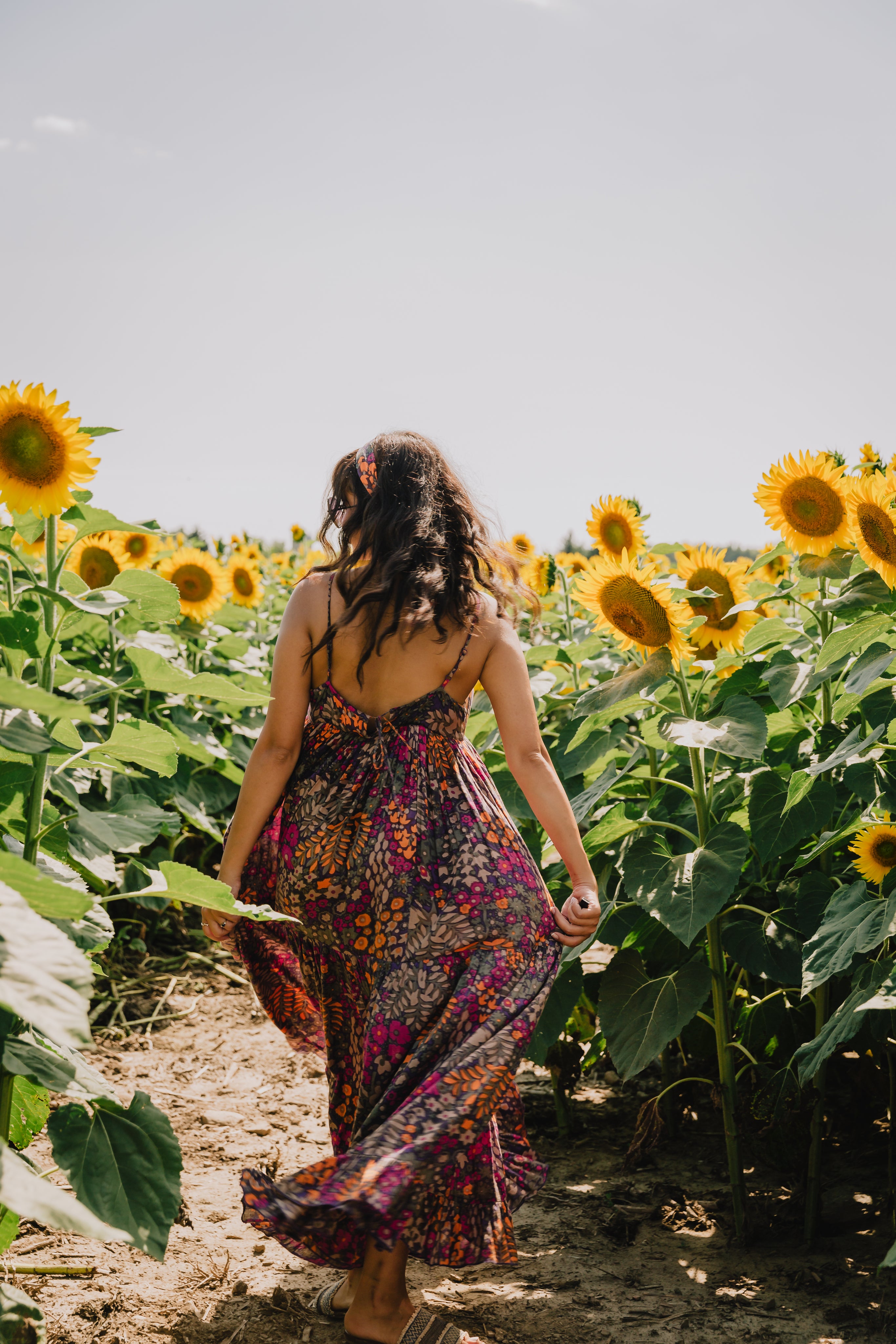 Woman walks down sunflower field